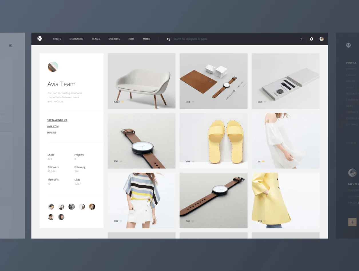 Avia UI Kit: Profiles 2