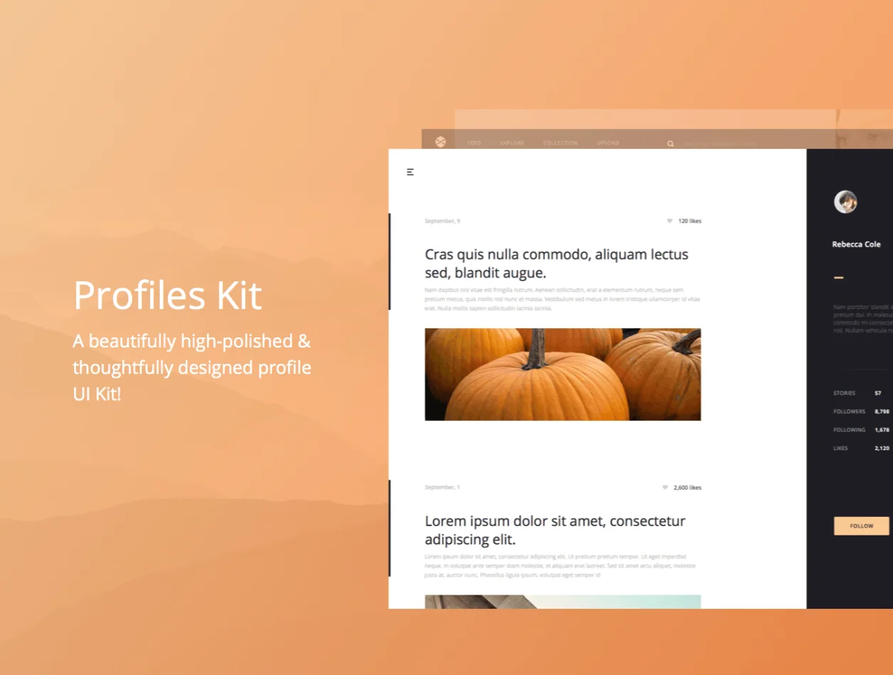 Avia UI Kit: Profiles 5
