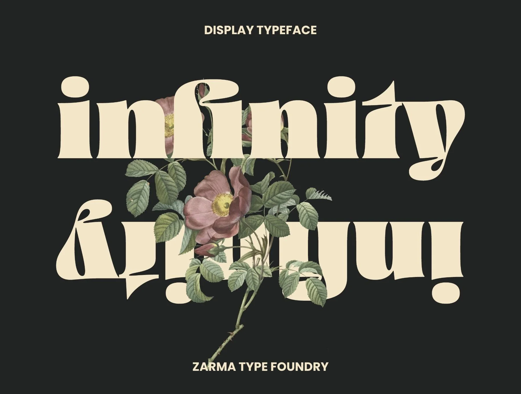 Ayuga Font 4