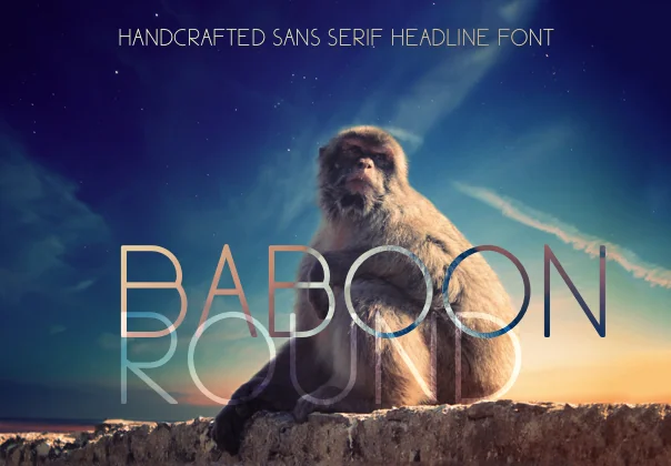 Baboon Round