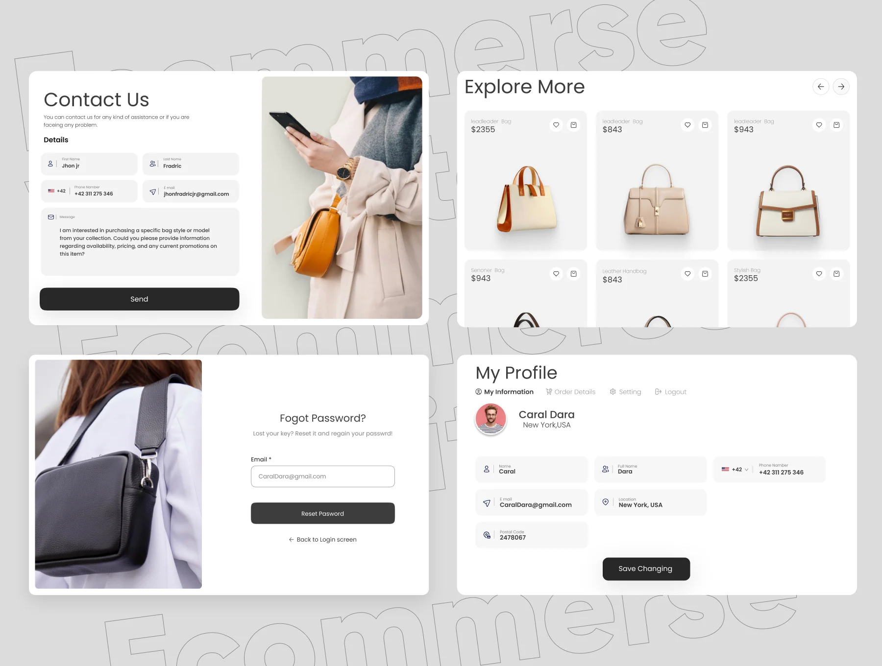 Bags Shoping Ecommerse Website UI kit 4