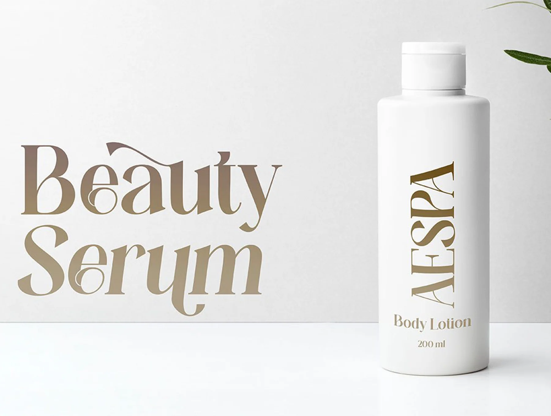 Balgon Serif 2