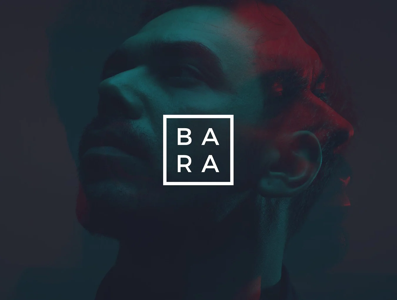 Bara Business Company