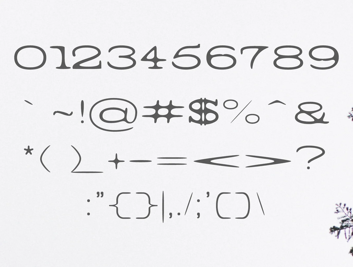 Barric A Serif Font Family 4