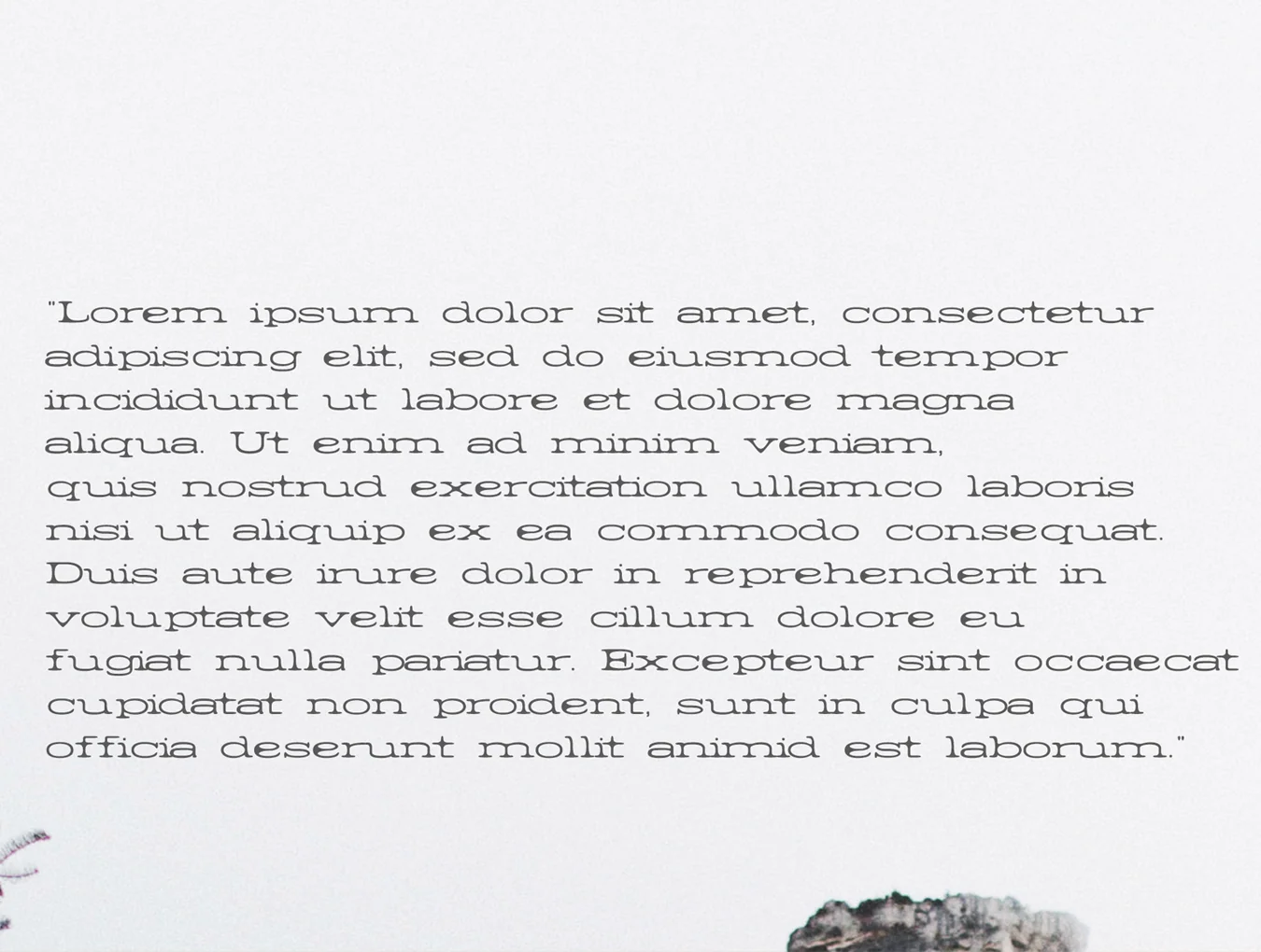 Barric A Serif Font Family 6