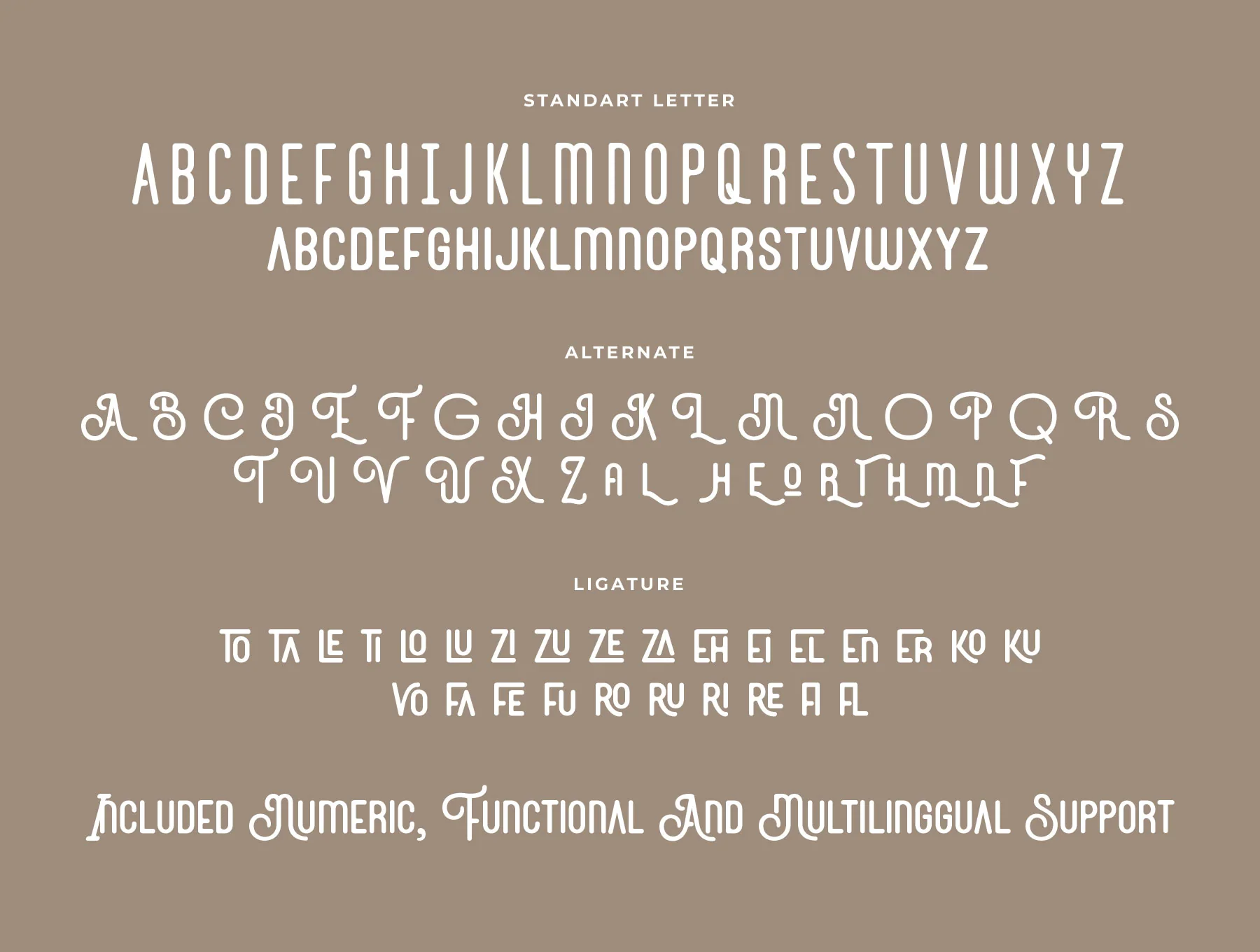 Baynois Vintage Monoline Font 8