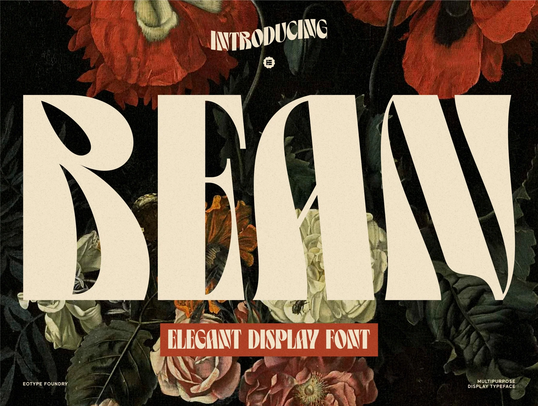 Bean - Display Typeface