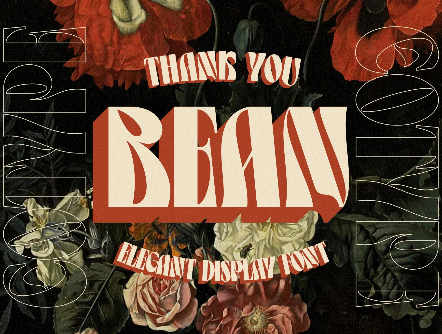 Bean - Display Typeface 8