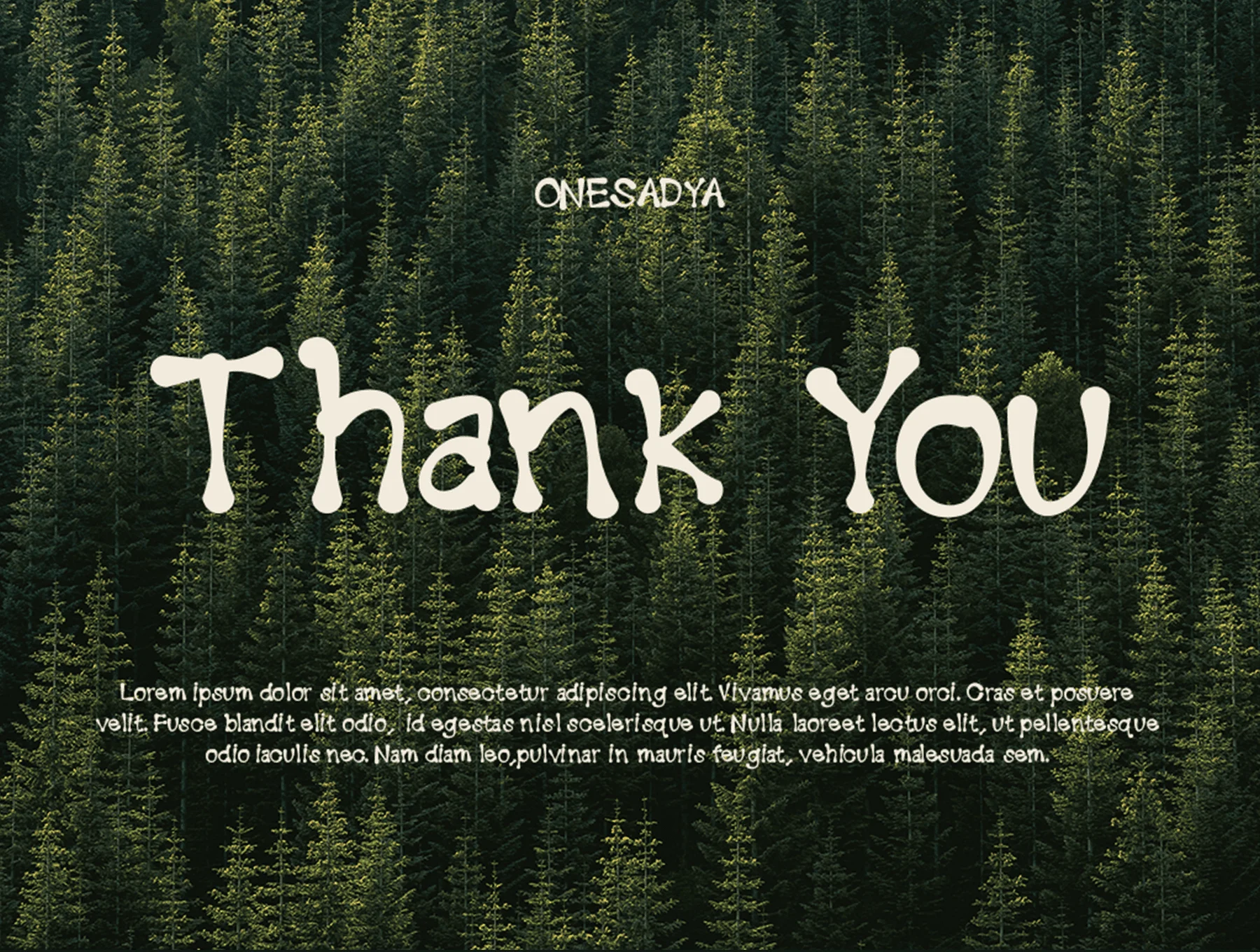Berro – Handdrawn Display Typeface 7