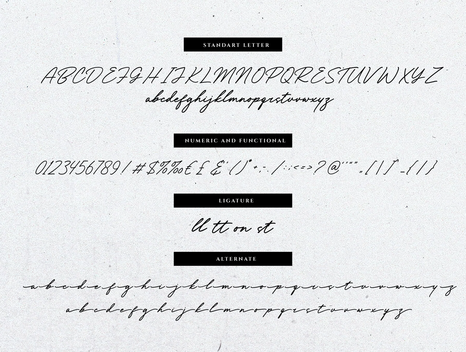 Beyonest Bold Signature Font 8