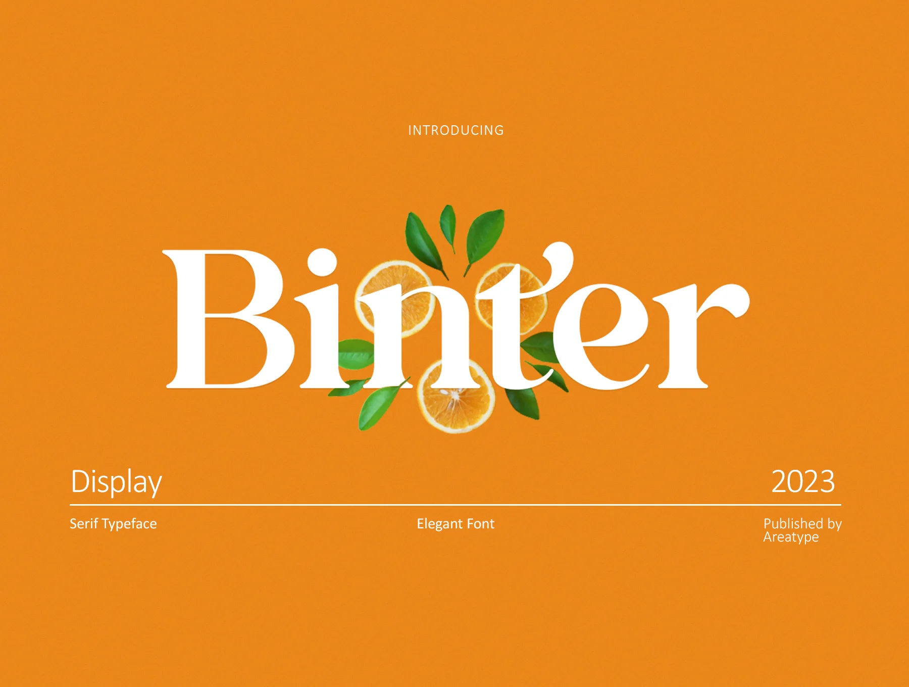 Binter Display