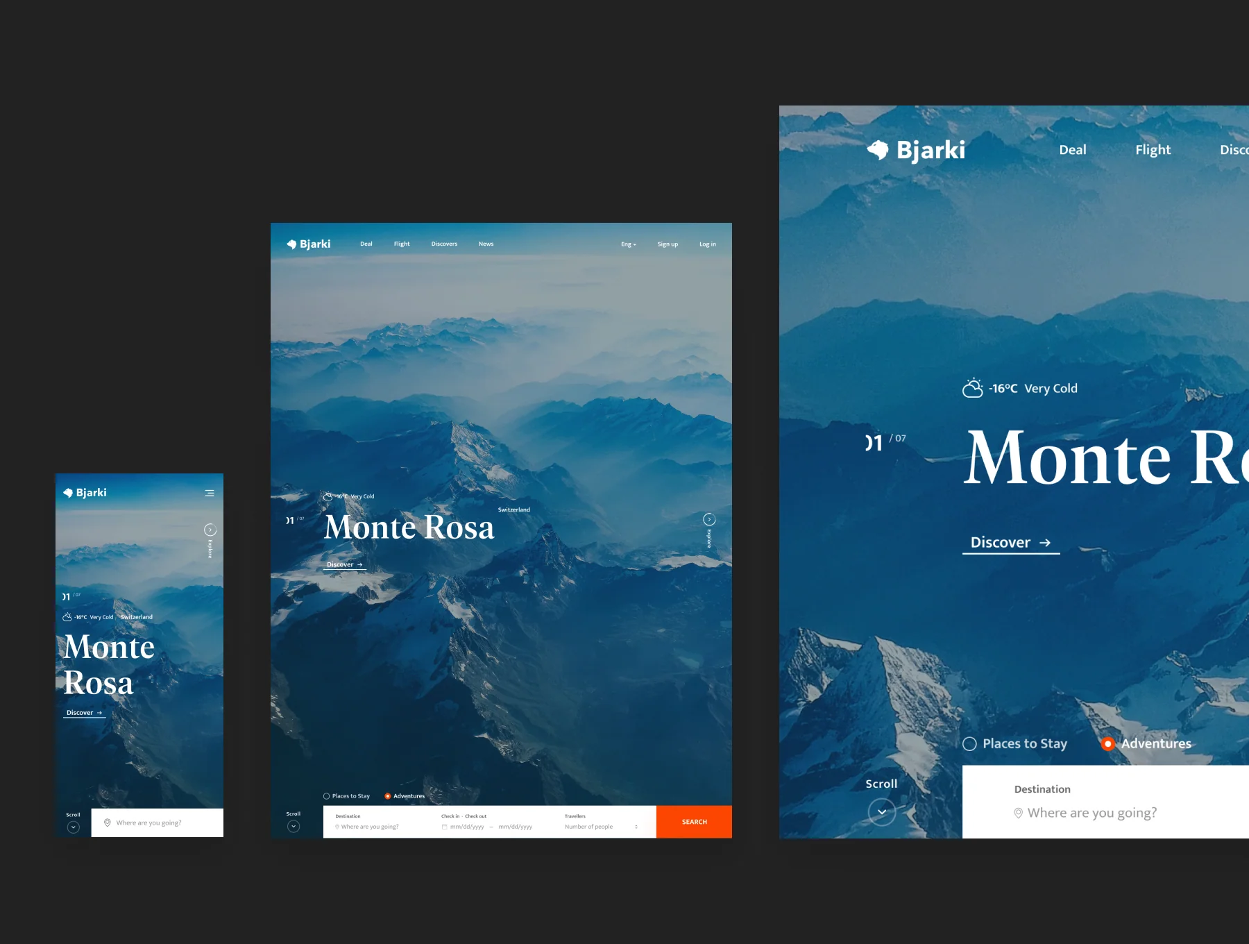 Bjarki Web UI Kit 7