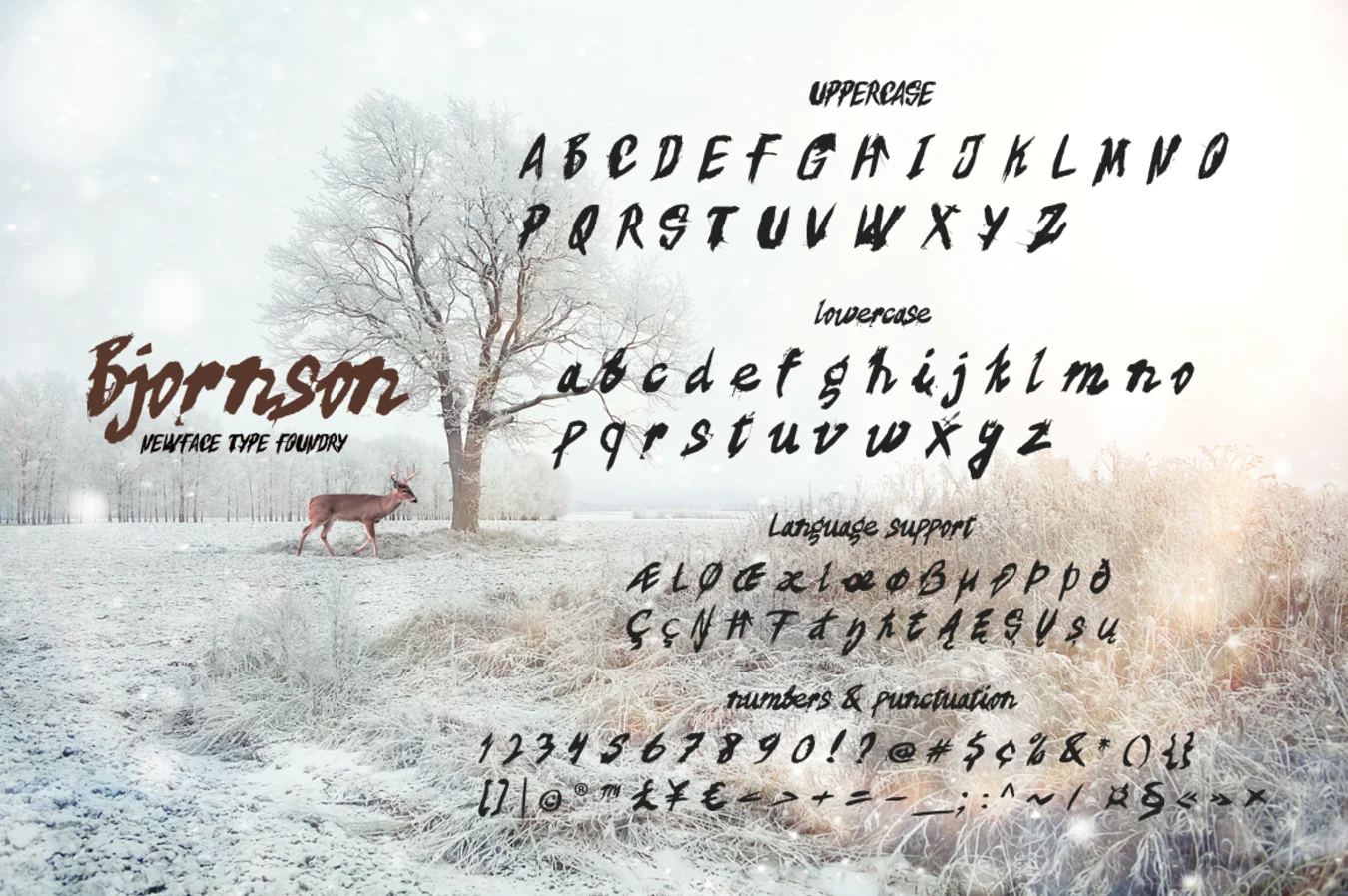 Bjornson 6