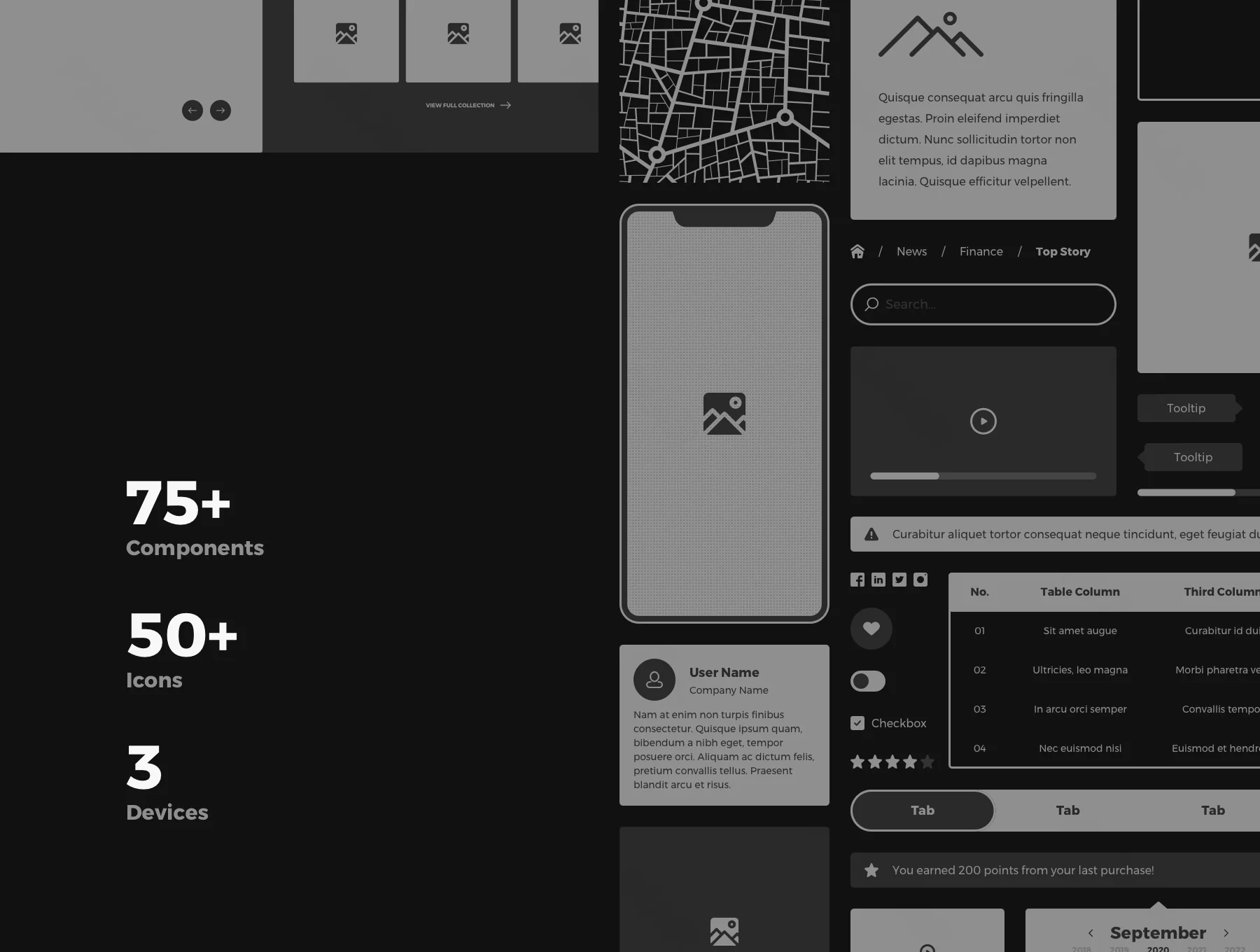 The BlackPrint Lite - Wireframe UX Kit for Sketch 6