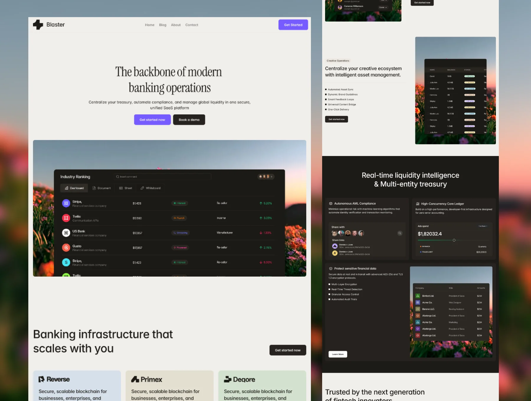Blaster — Fintech & Modern Banking Framer Template