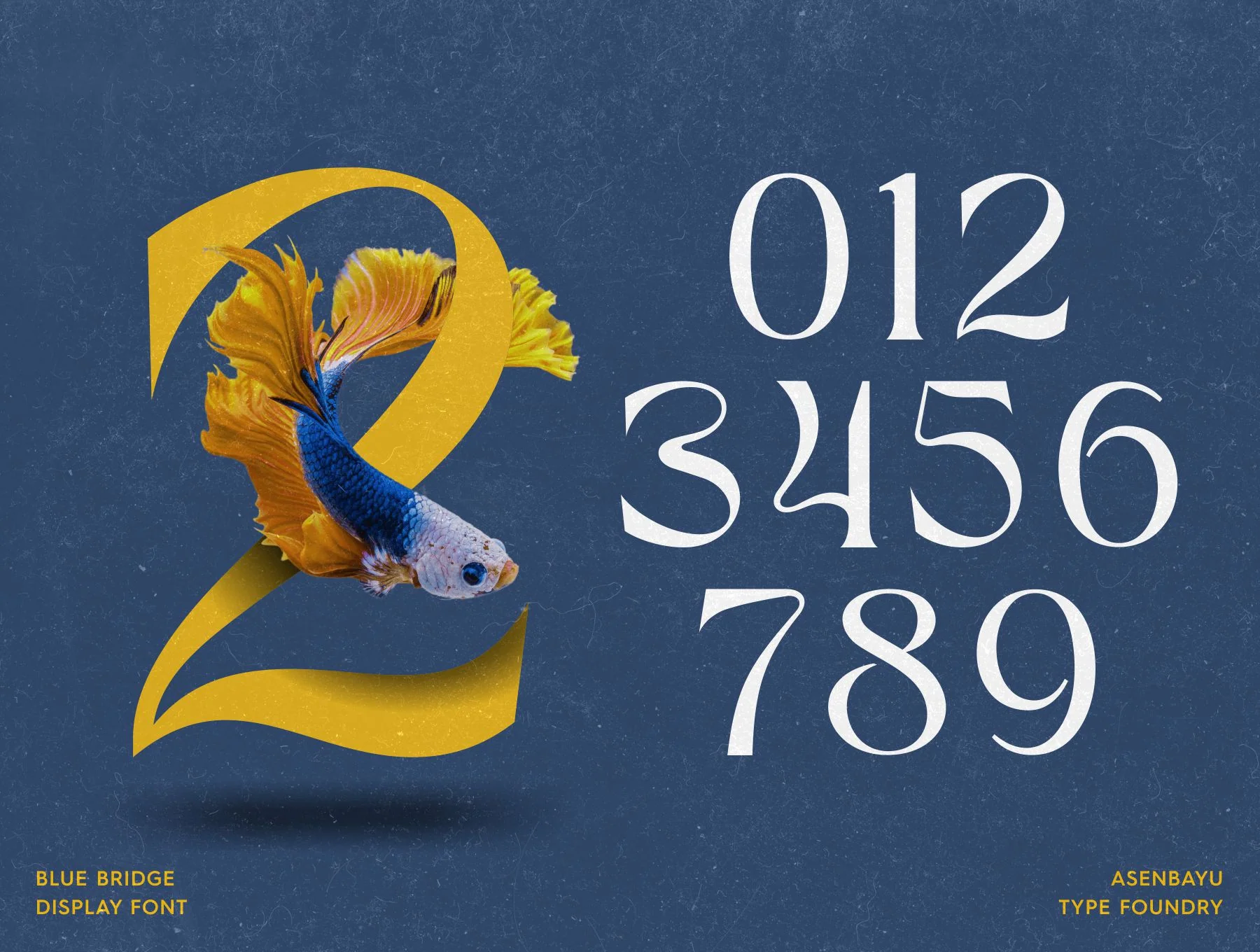 Blue Bridge Font 10