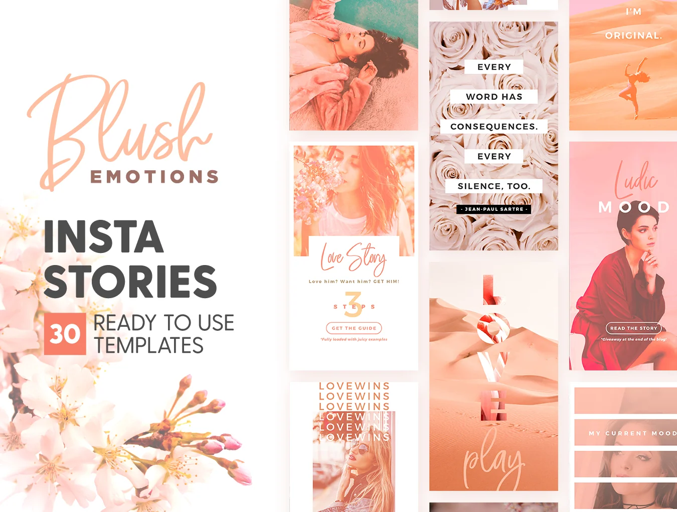 Blush Emotions Insta Stories
