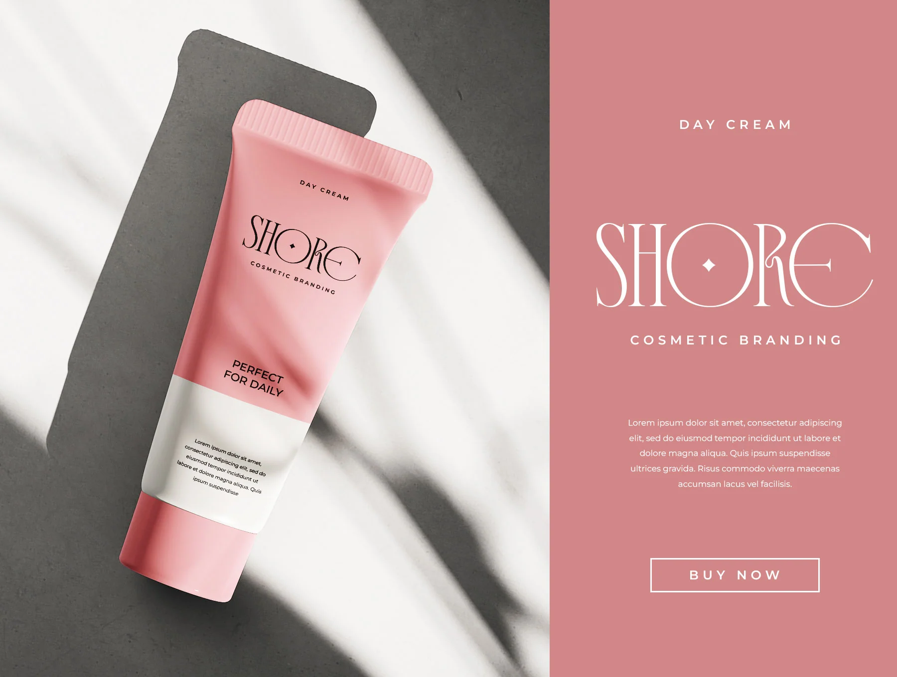 Bodera Elegant Display Serif Font 5
