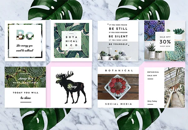 Botanical Social Media Pack