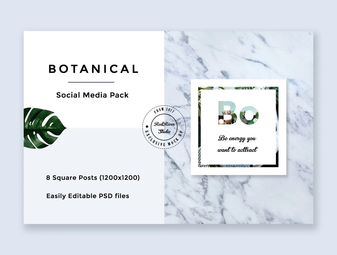 Botanical Social Media Pack 2