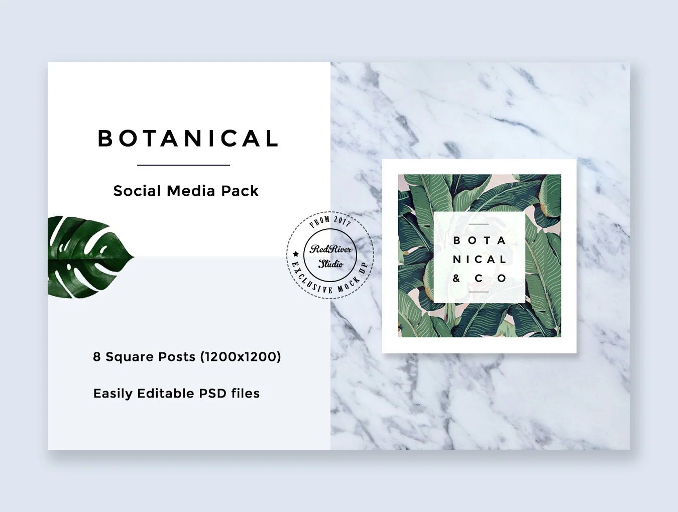 Botanical Social Media Pack 3