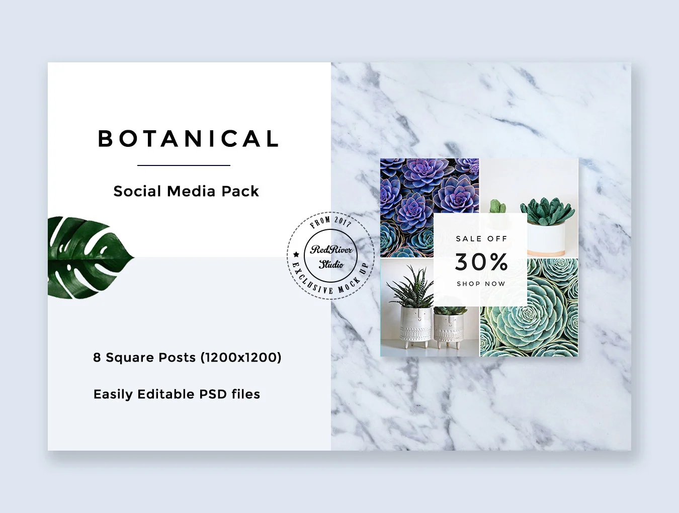 Botanical Social Media Pack 5