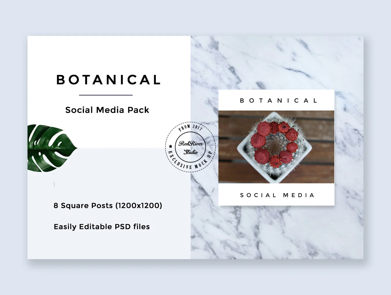 Botanical Social Media Pack 7