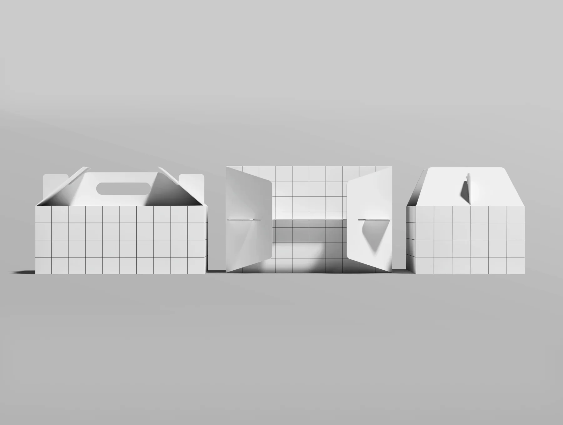 Food Packaging Box Mockup 5