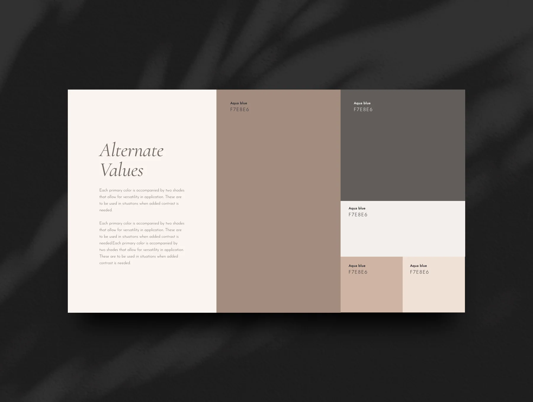 Elegant Brand Guidelines - Branding & Style Guide Manual 3