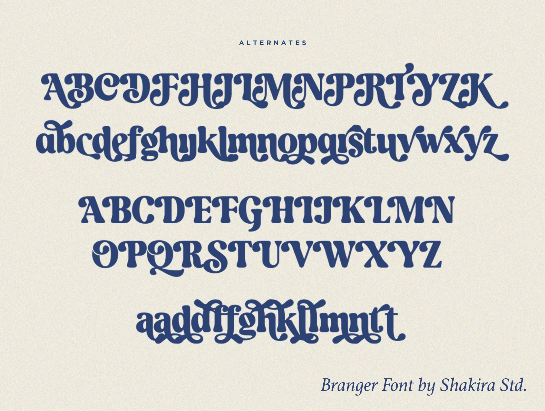 Branger - Modern Retro Serif 7