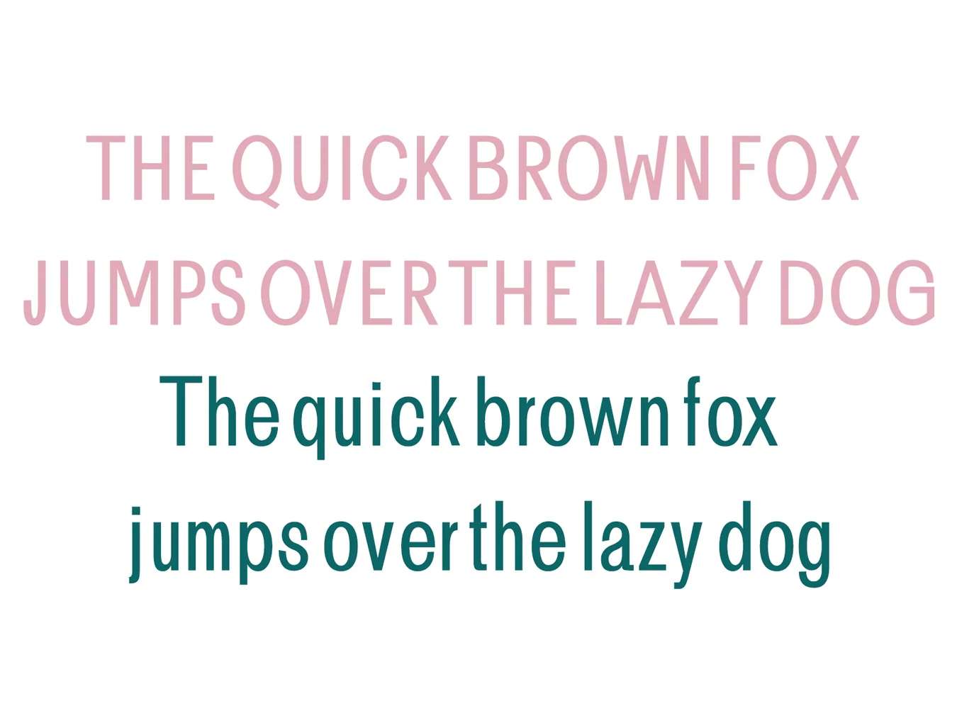 Brendon Sans Serif 7
