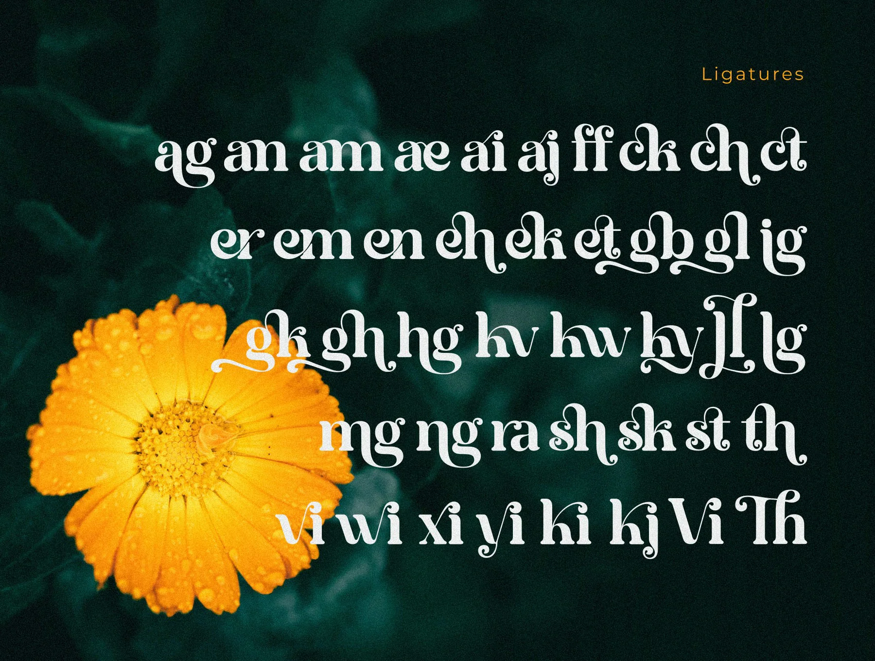 Bright Vintage 4