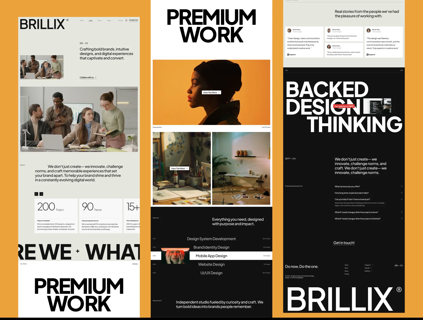 Brillix - Agency Website 4