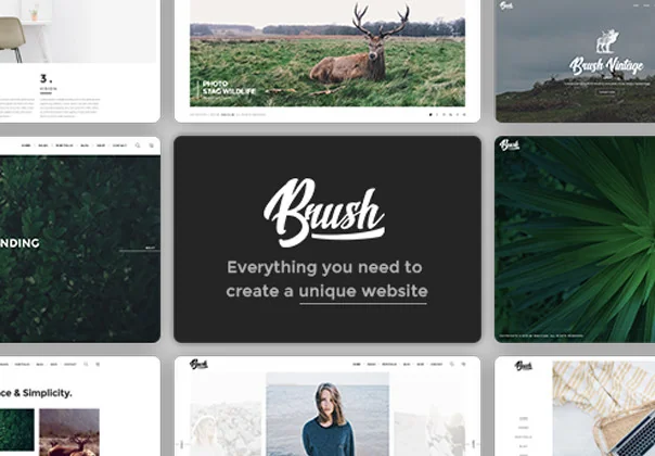 Brush