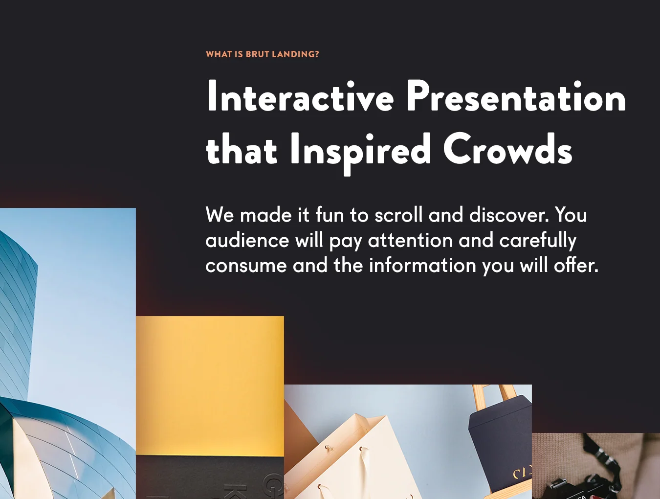 Brut Landing Page 6