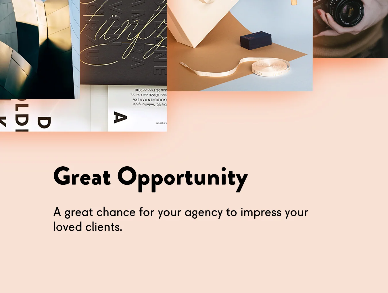 Brut Landing Page 8