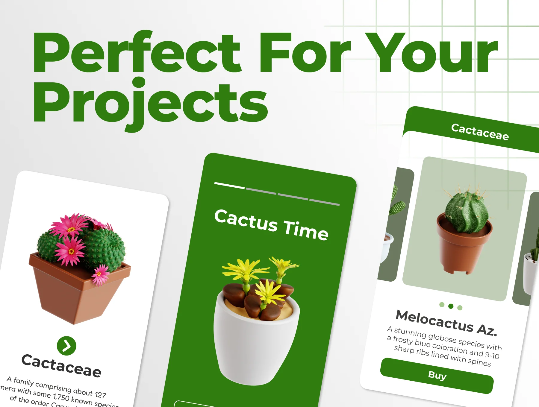 Cactus Plant 3D Icon Set 3