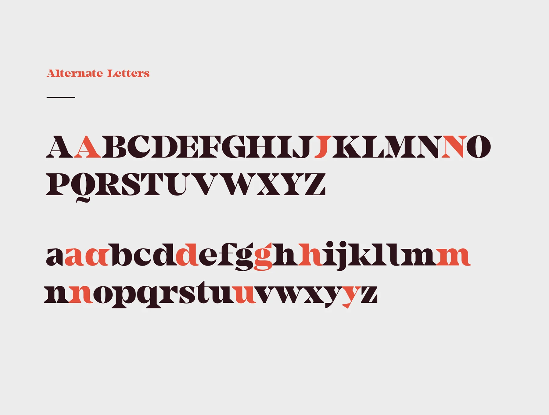 Camijo Display Serif Font 5
