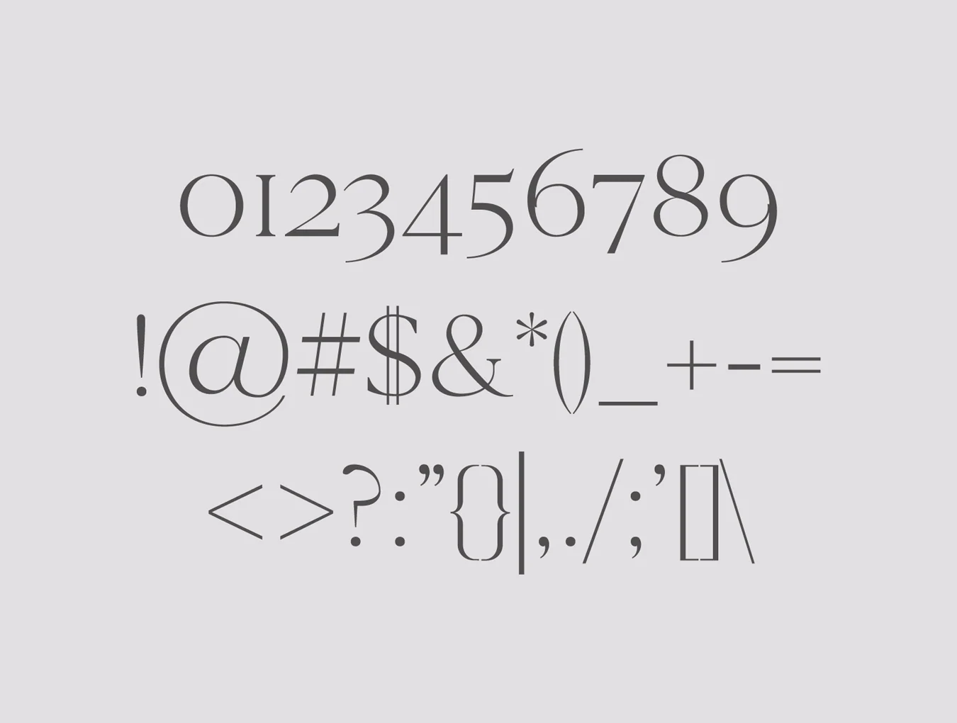 Cammron Serif Font Family 4