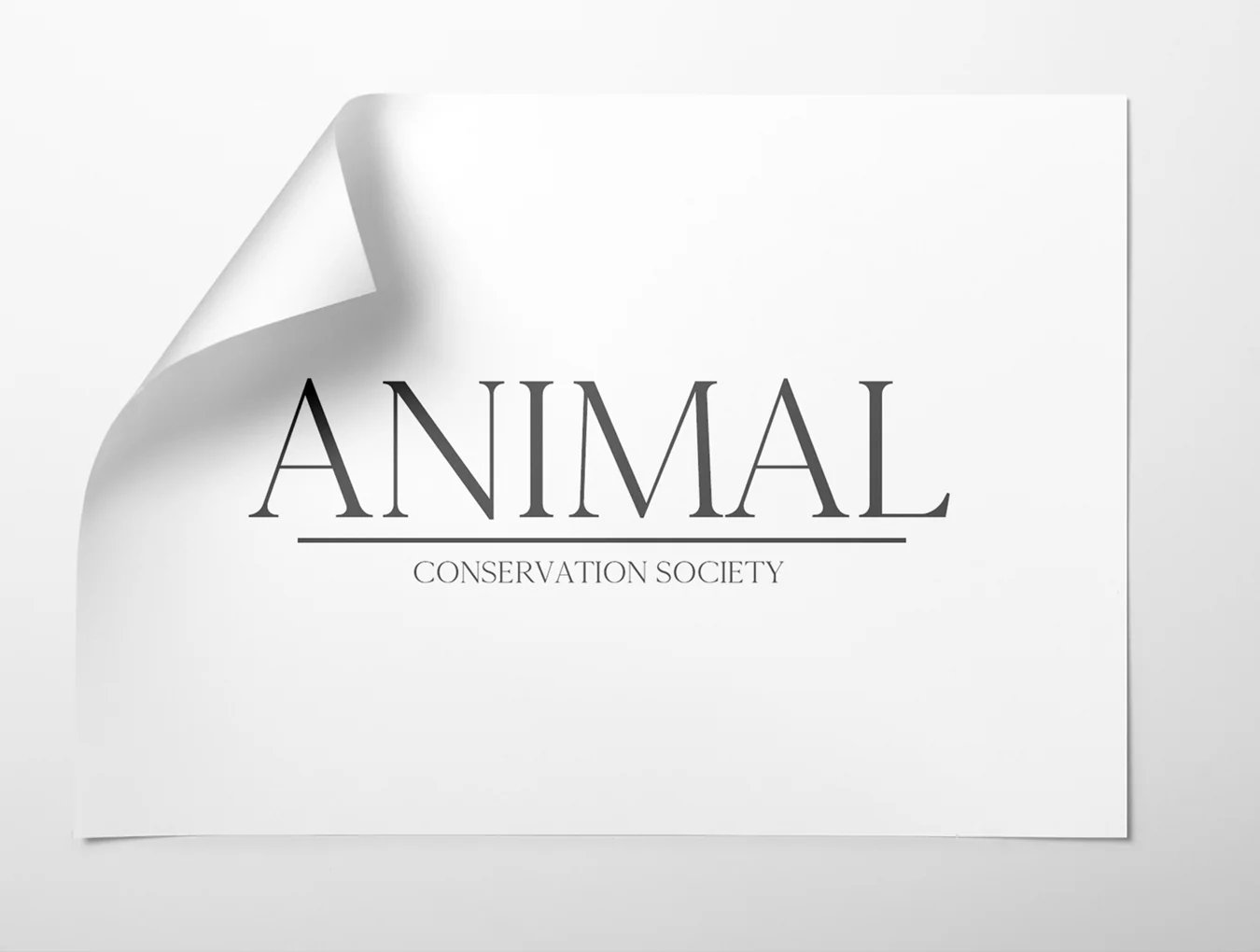 Cammron Serif Font Family 5