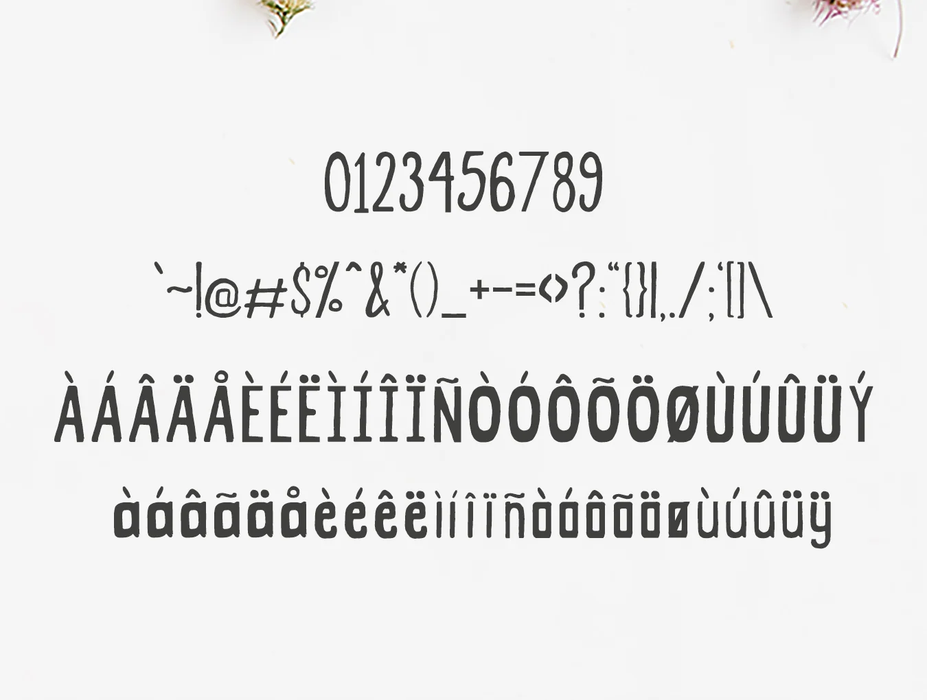 Candace Handwritten Font 4