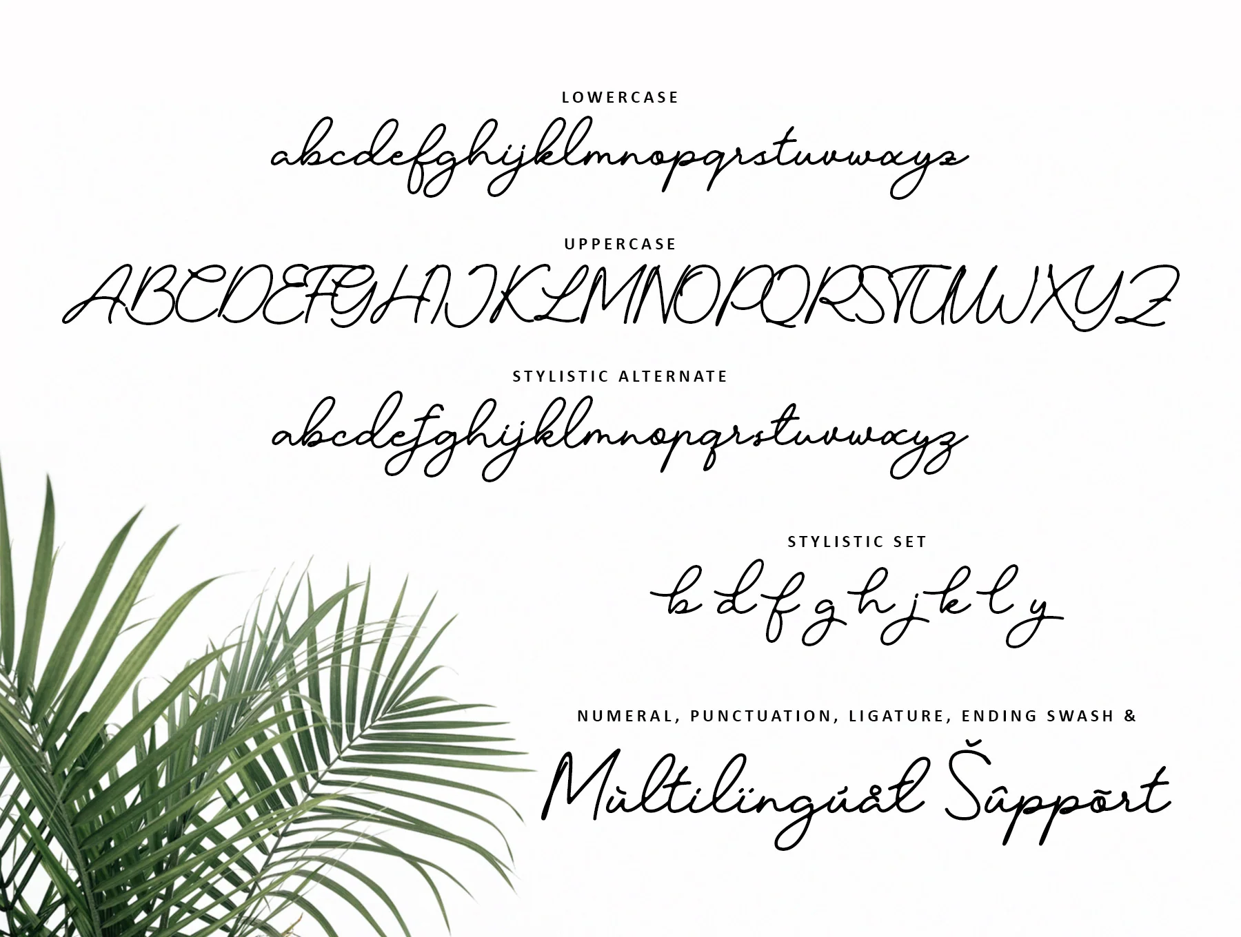 Candelia - Stylish Signature Font 7