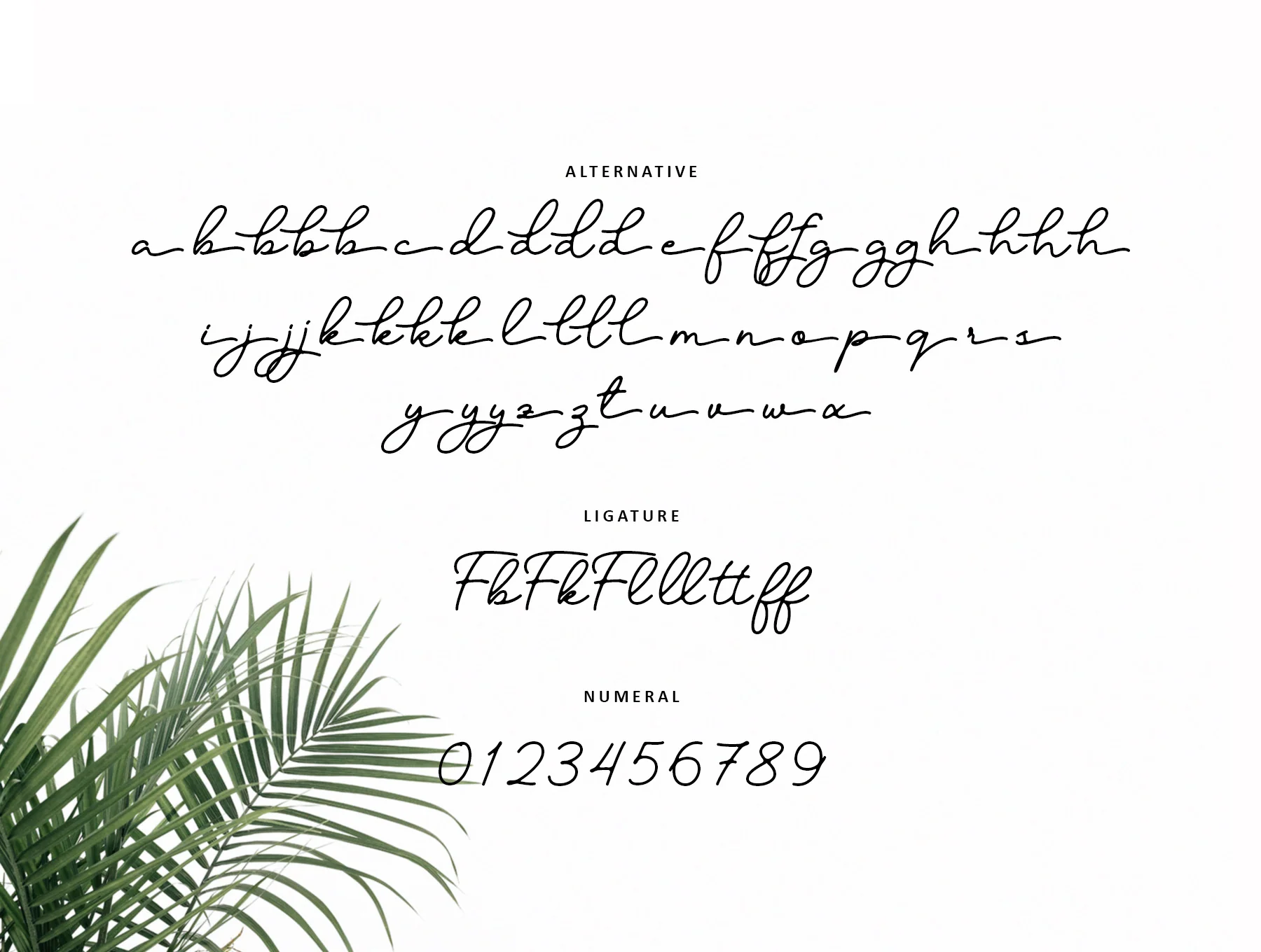 Candelia - Stylish Signature Font 8