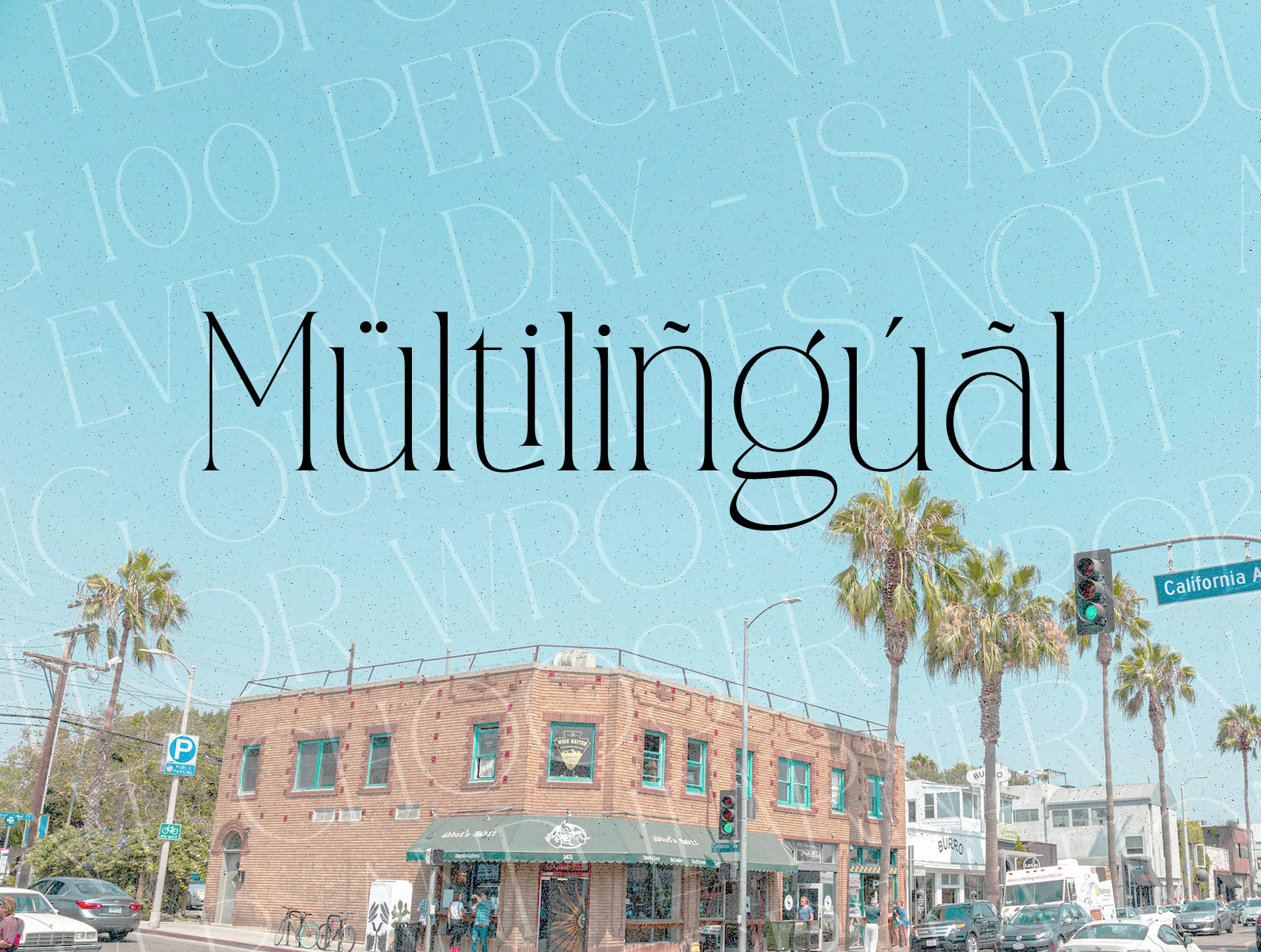 CANOVER | Ligature Serif 9