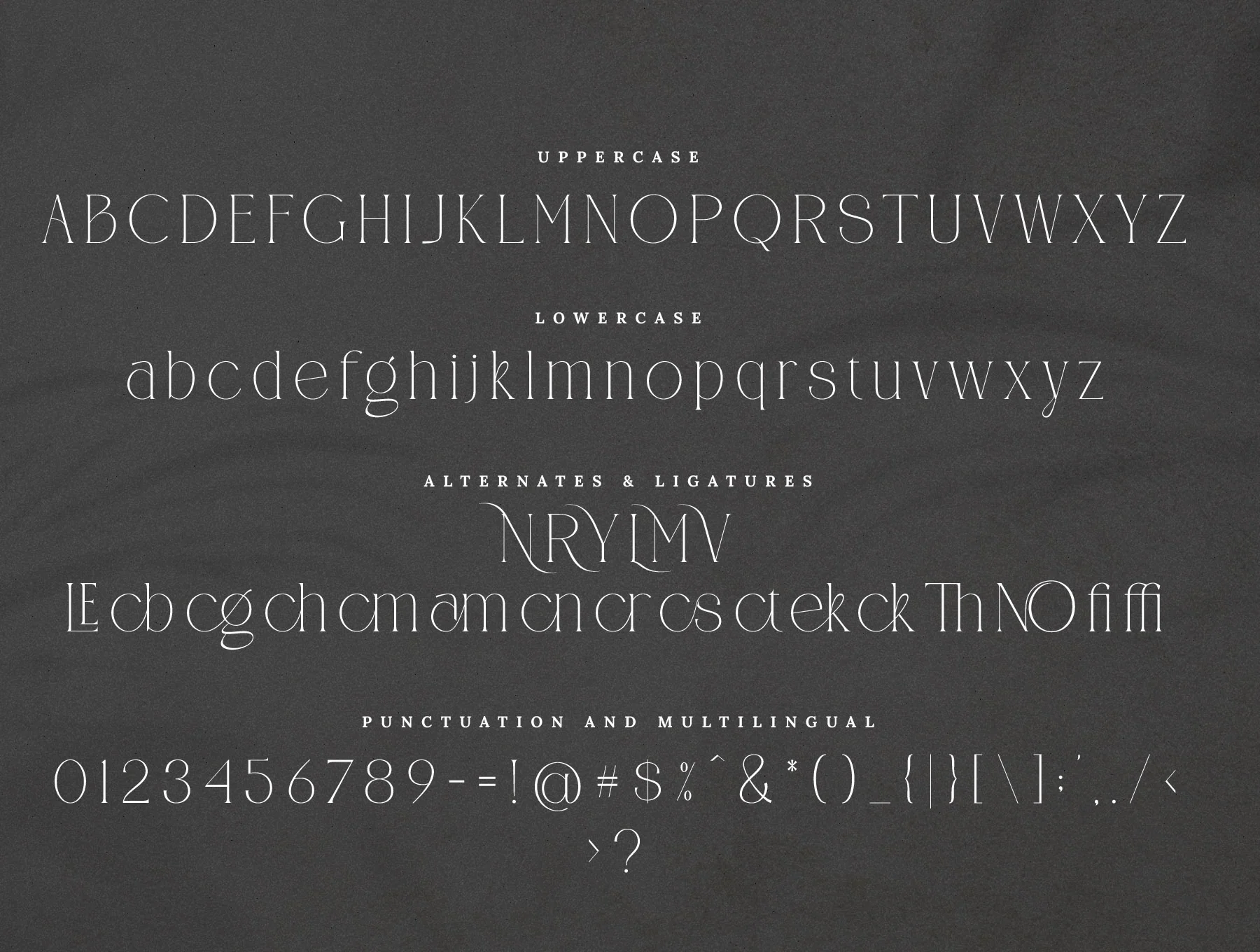 CANOVER | Ligature Serif 10