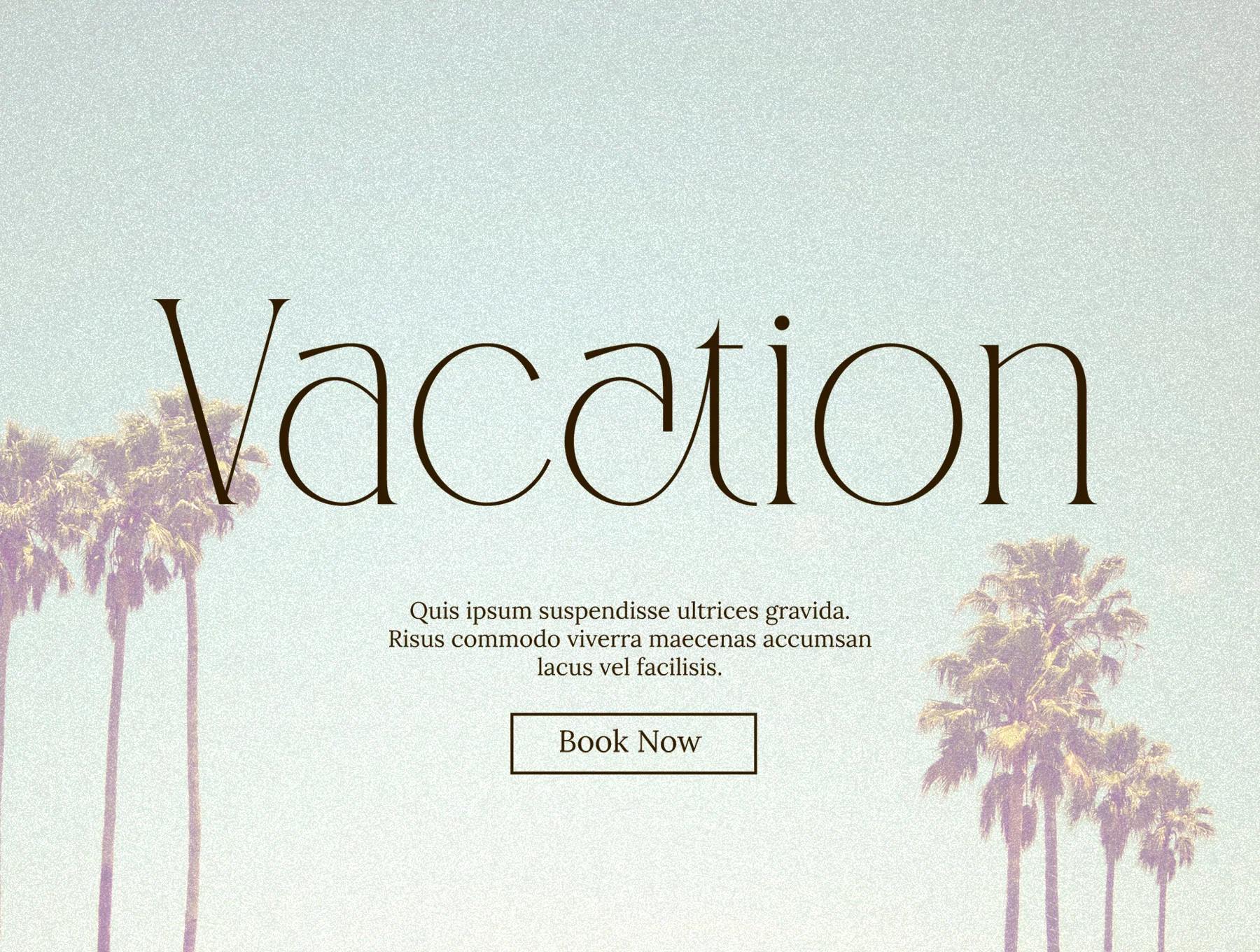 CANOVER | Ligature Serif 4