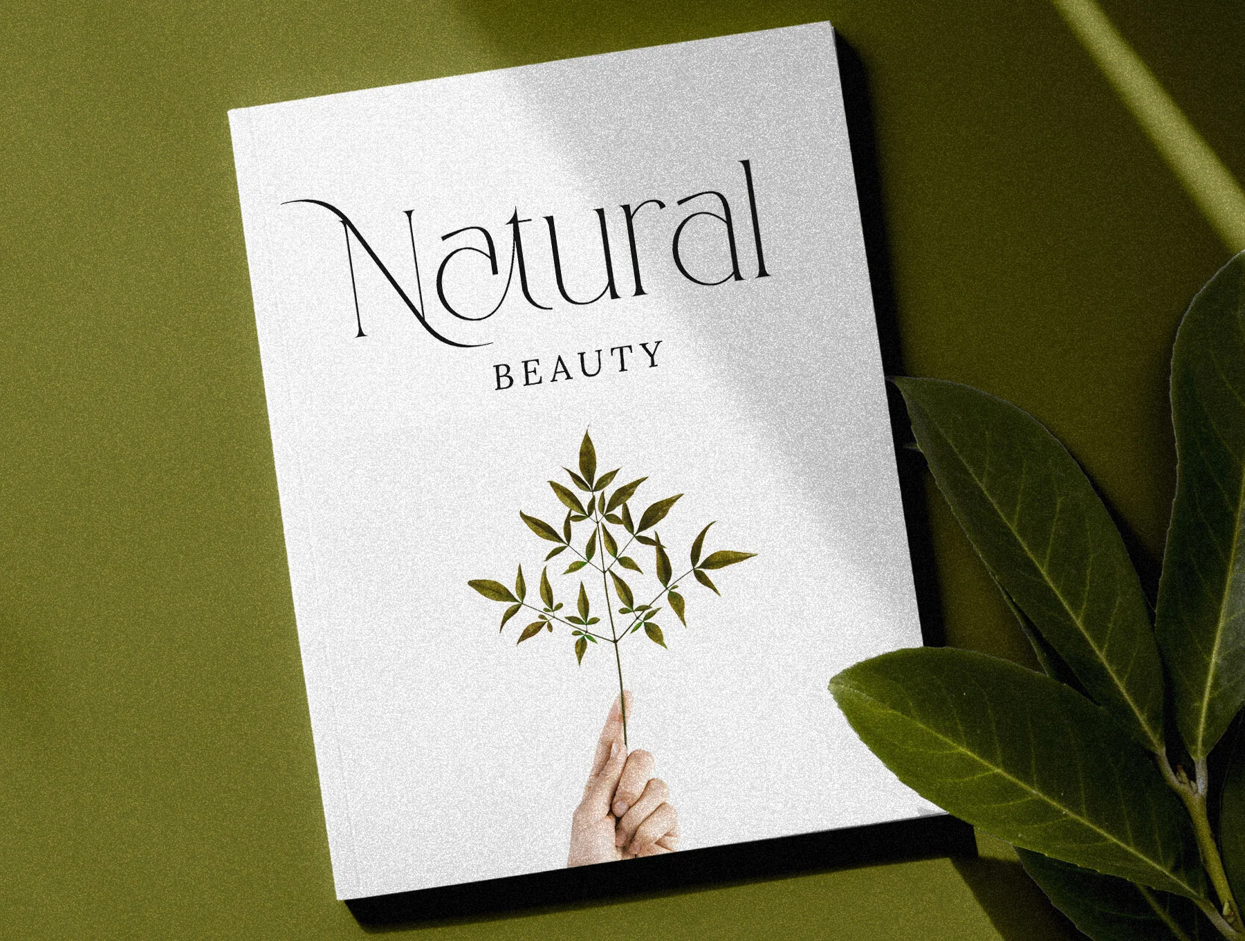 CANOVER | Ligature Serif 5
