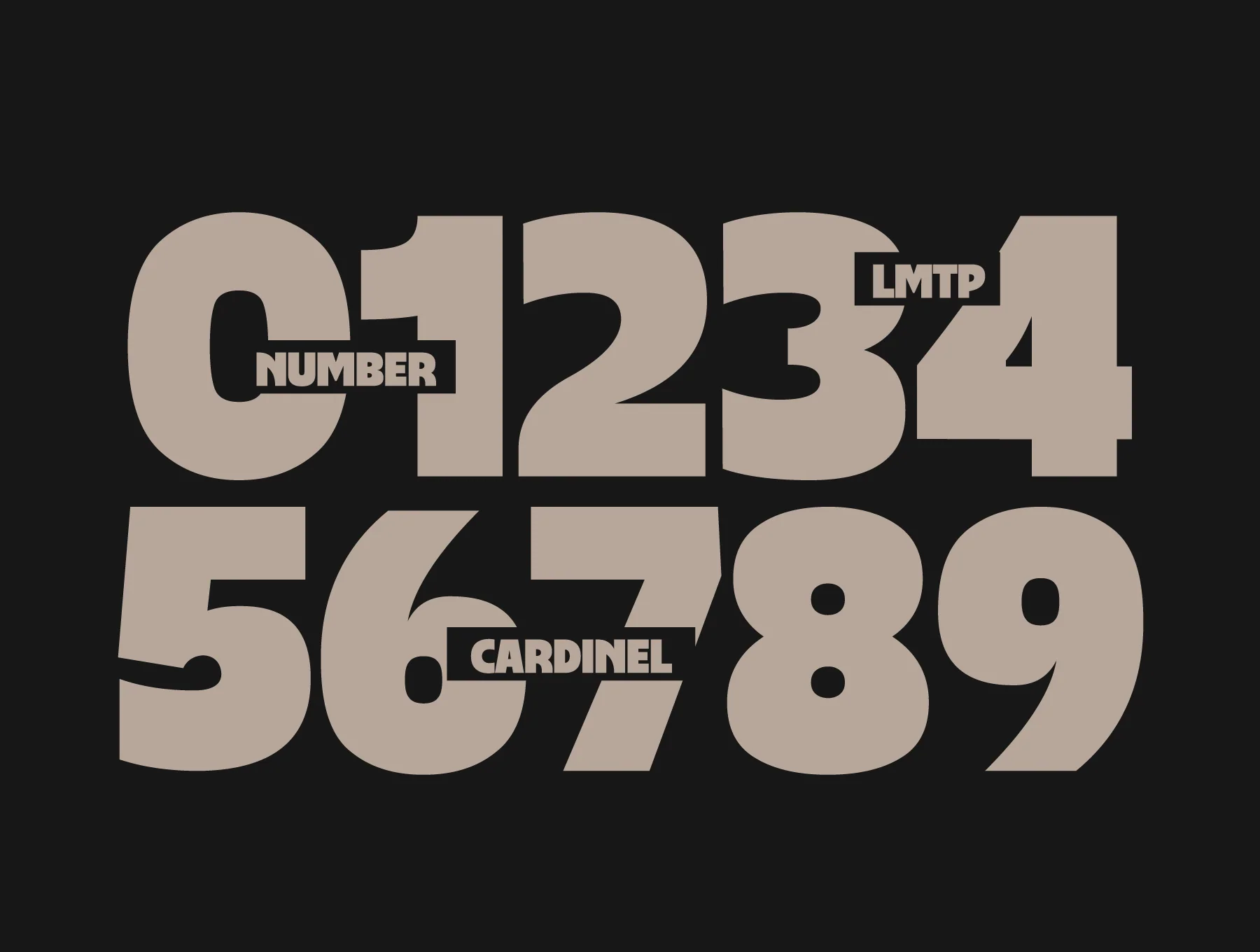 Cardinel 11