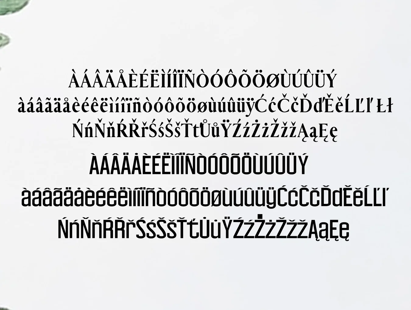 Carolin Duo Font Family 5