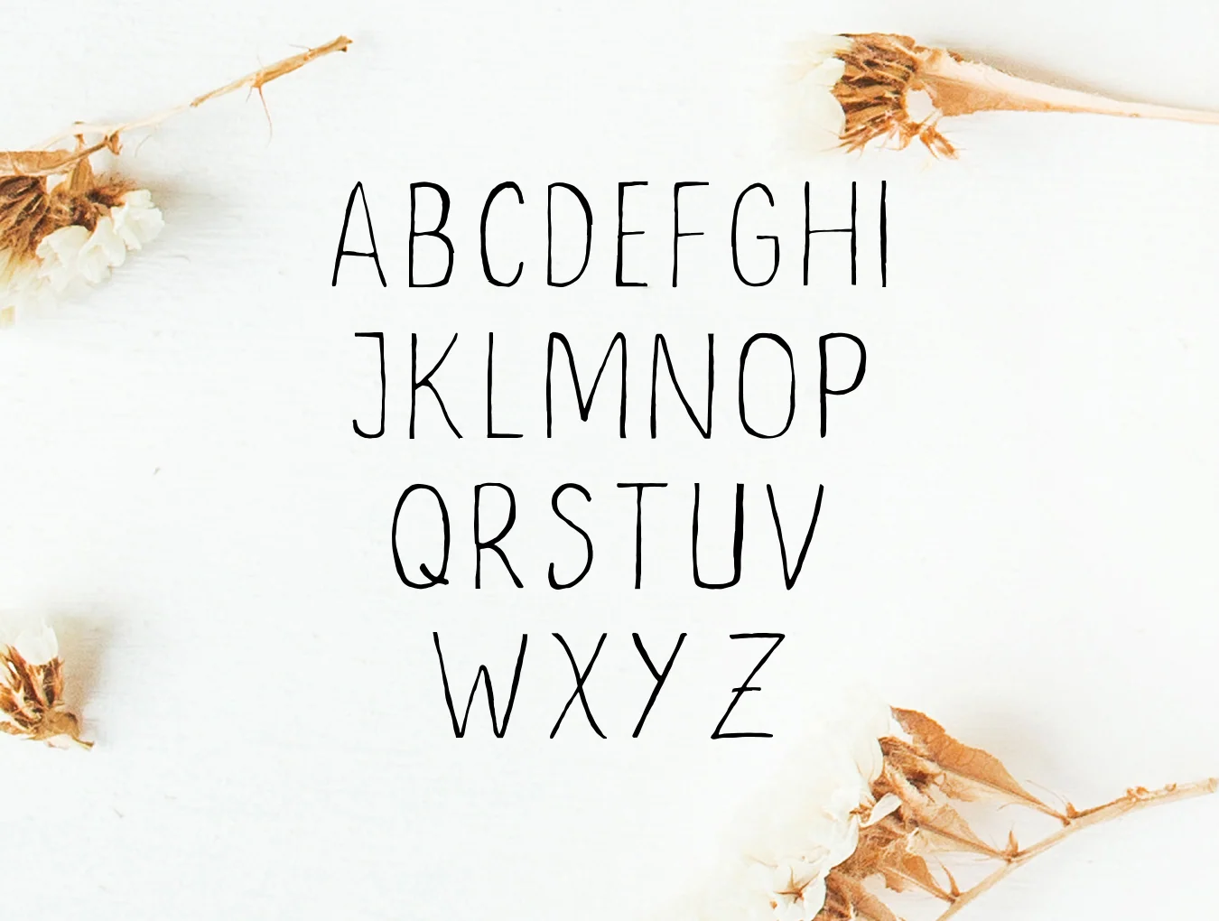Ceica Handwritten Duo Font 3